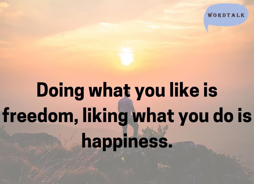 Doing what you like is freedom, liking what you do is happiness.
