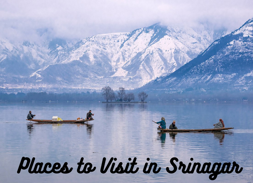 Places to Visit in Srinagar